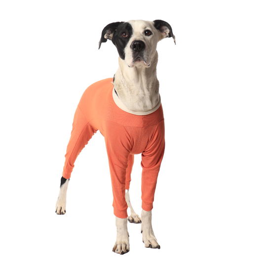 Luna & Milo CopperBody 4-Legs #4