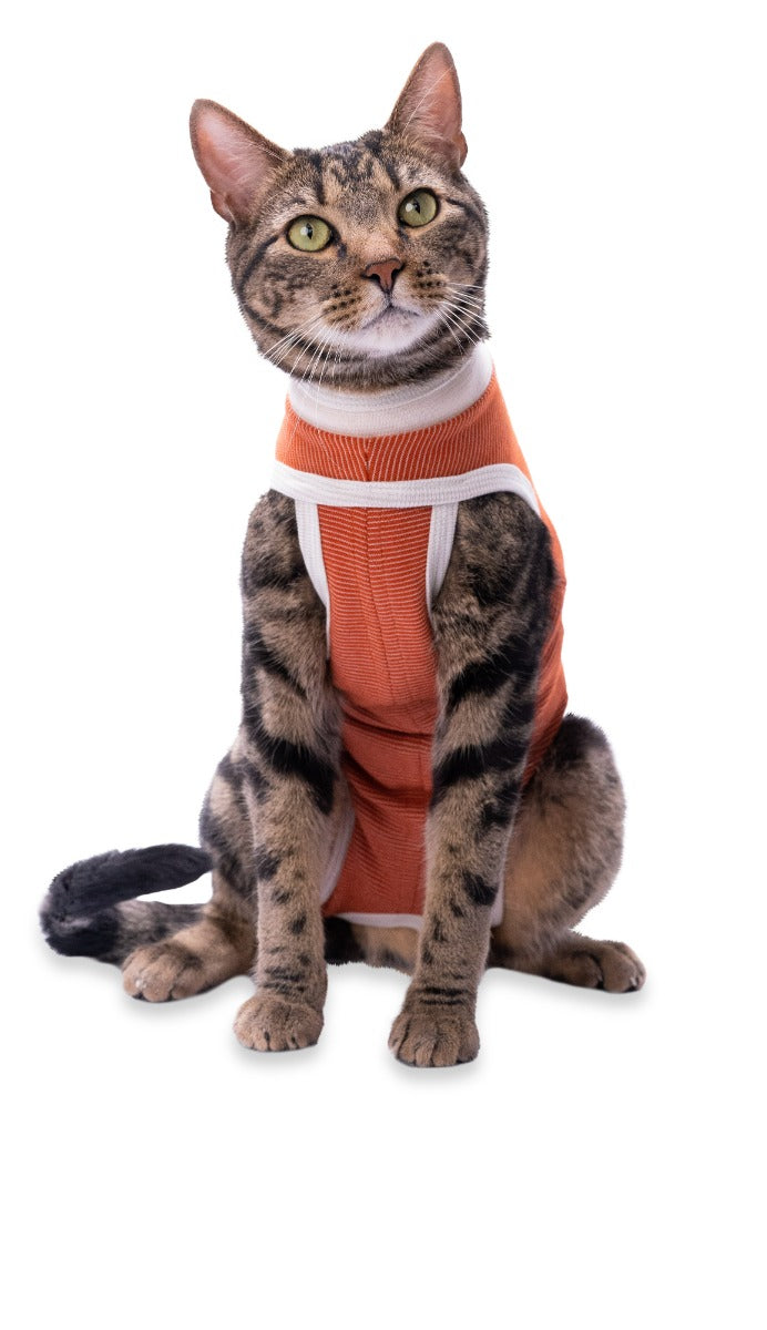 Luna & Milo CopperBody Classic Cat #2