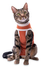 Luna & Milo CopperBody Classic Cat #2