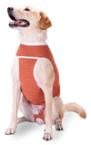 Luna & Milo CopperBody Classic n°10